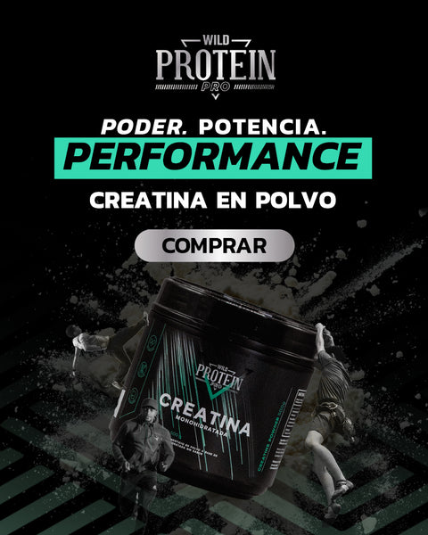 PACK 3 X CREATINA WILD