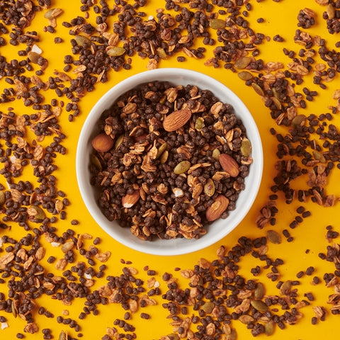 Wild Protein Granola Crunchy Semillas