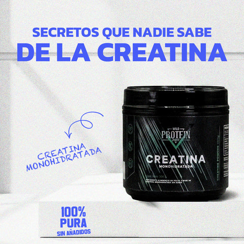 Secretos que nadie sabe de la creatina